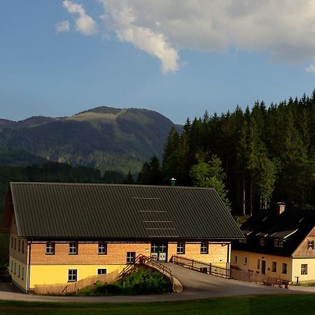 Ferienstadl - Hammerau Göstling an der Ybbs Exterior foto